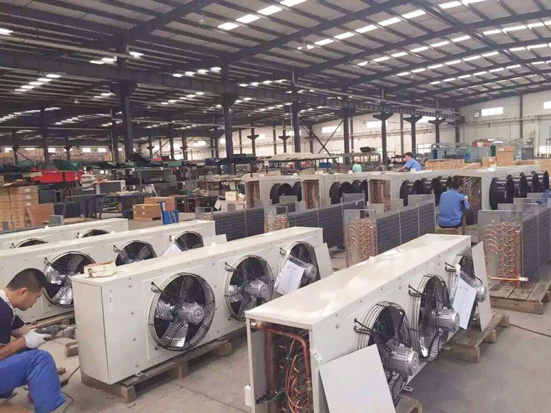 体育竞技领航者